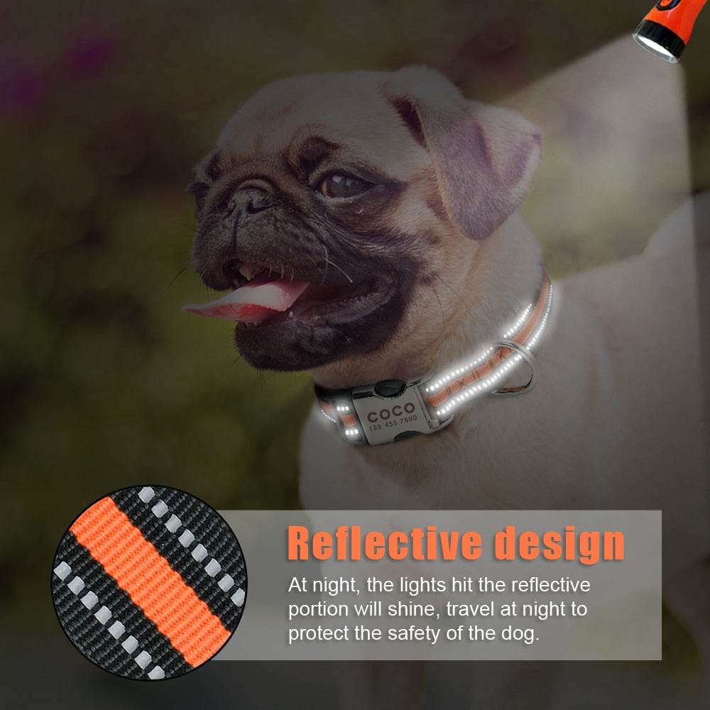 Reflective Nylon Personalized Engraved ID Tag & Collar