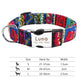 Reflective Nylon Personalized Engraved ID Tag & Collar