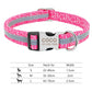 Reflective Nylon Personalized Engraved ID Tag & Collar