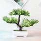 Artificial Plastic Small Potted Bonsai Tree