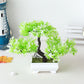 Artificial Plastic Small Potted Bonsai Tree